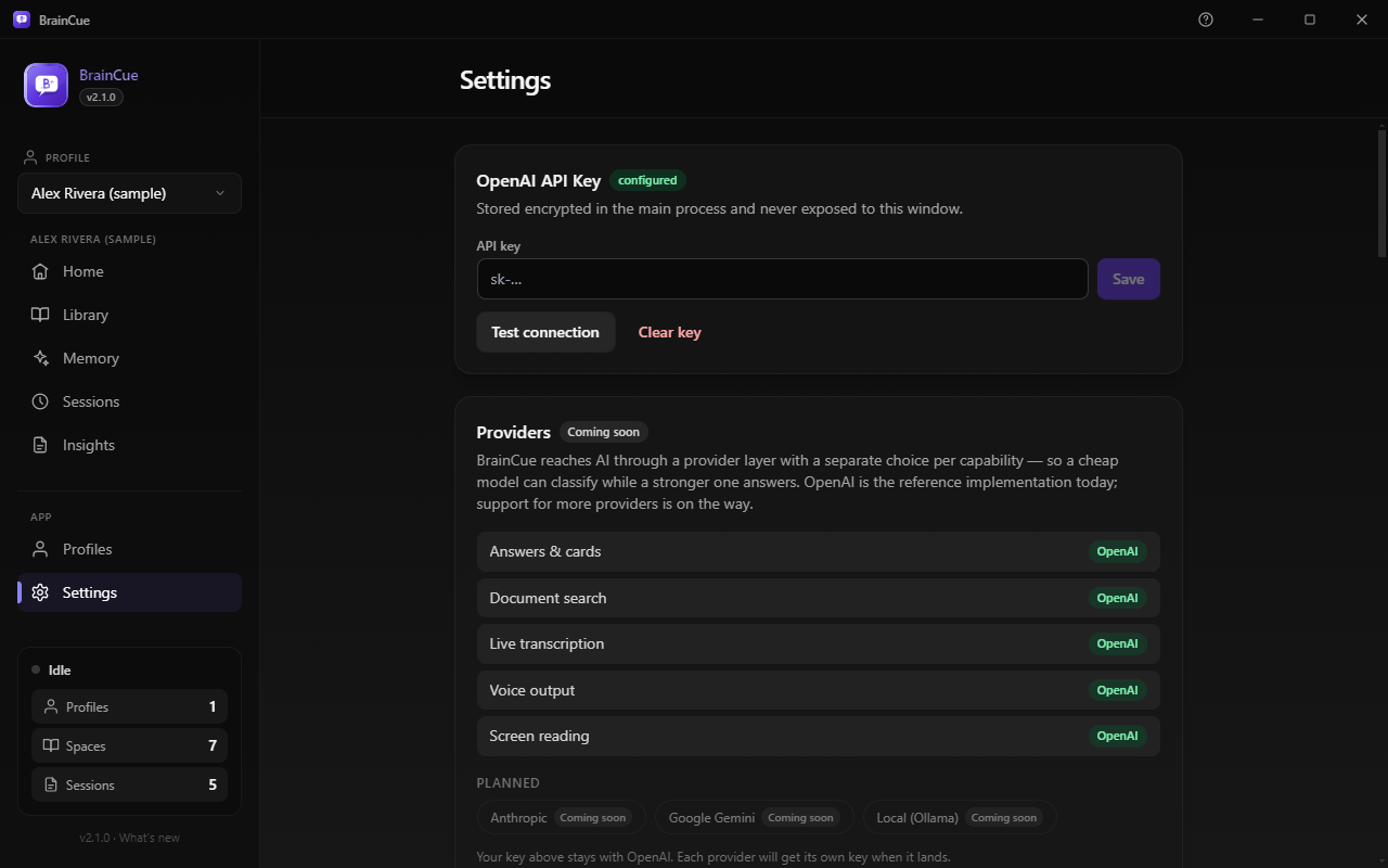 Settings: the OS-encrypted API key, model presets per task, and Privacy Mode.